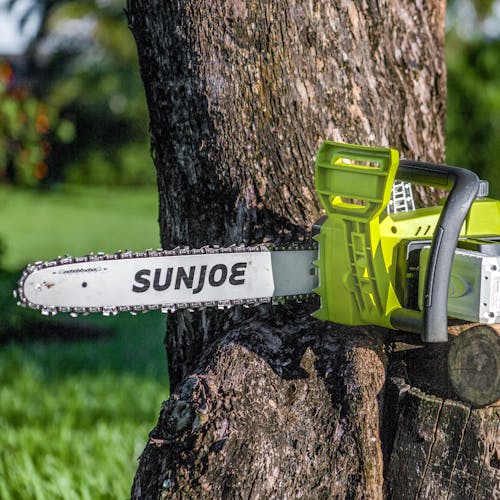 Sun Joe 48-volt cordless 16-inch chainsaw kit with two 2.0-Ah lithium-ion batteries attached sitting on the side of a tree.