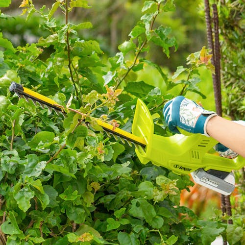 Person using the Sun Joe 24-volt cordless 18-inch hedge trimmer to trim a bush.