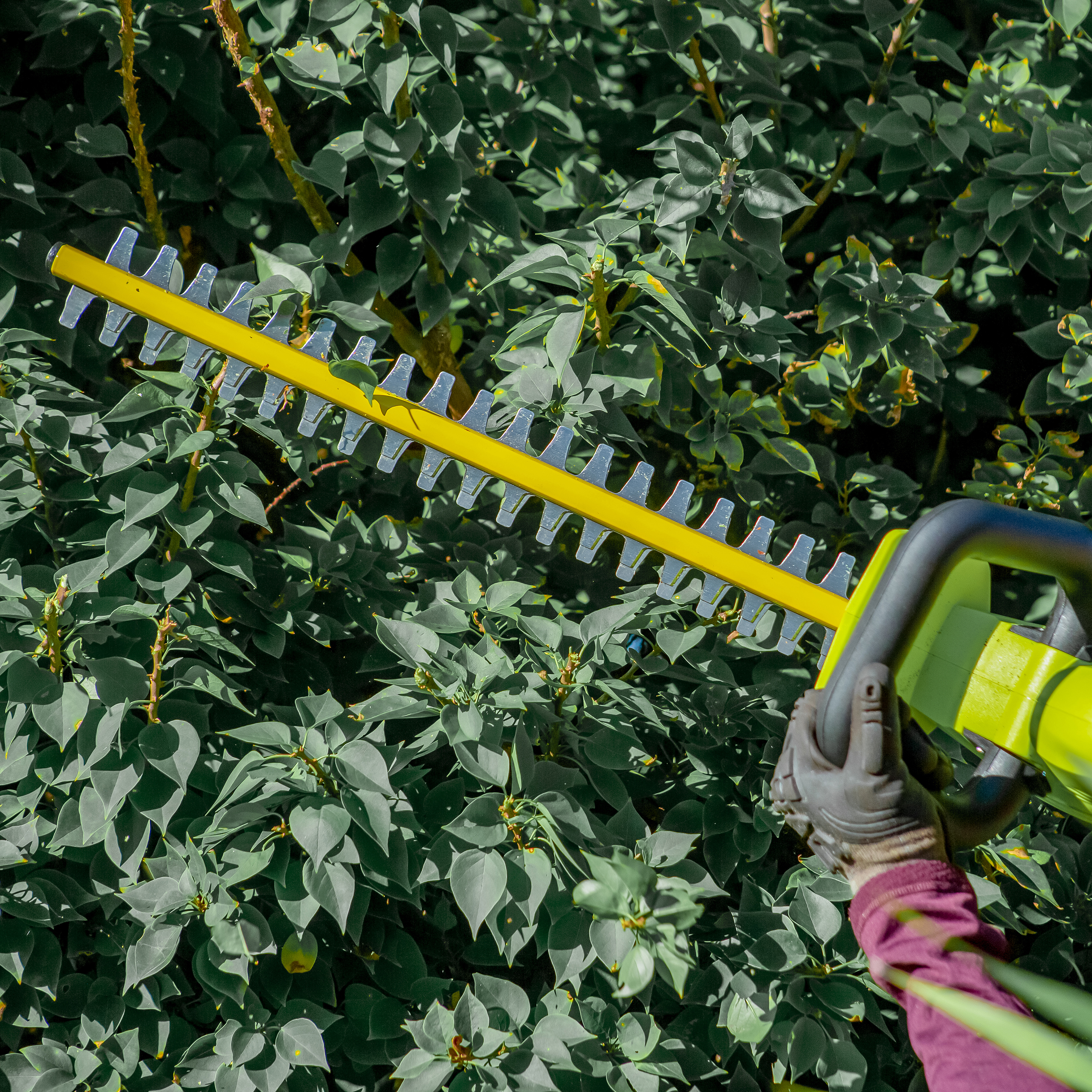 Ryobi 24 deals volt hedge trimmer