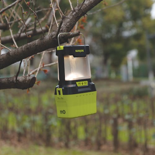 Sun Joe 24-Volt Cordless LED Lantern turned on and hanging from a branch outside.