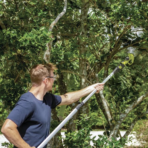 Person using the Sun Joe Pruning Shear Extension Pole to cut a high branch off a tree.