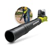 Sun Joe 24-volt cordless turbine leaf blower.