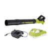 Sun Joe 24-volt cordless turbine leaf blower with a 2.5-Ah lithium-ion battery and charger.