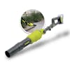 Sun Joe 24V-TBP-LTE pole leaf blower with inset image of product in use