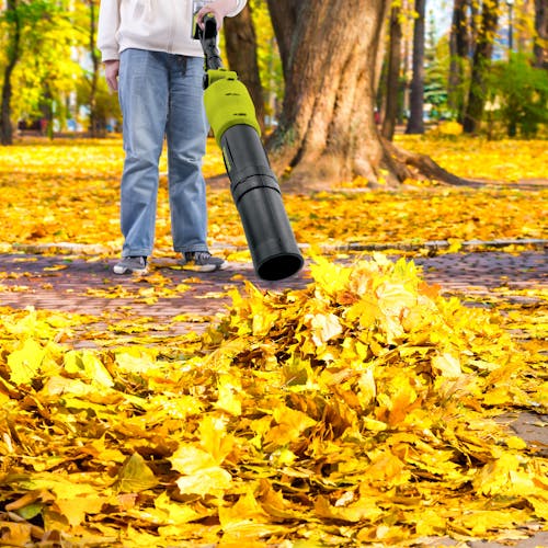 24V-TBP-LTE being used to blow leaves on ground
