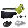 Sun Joe 24-volt cordless workshop blower with a 2.0-Ah lithium-ion battery, quick charger, blower attachments, and collection bag.