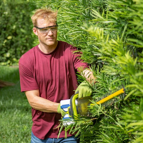 Man using the Sun Joe 48-volt cordless 24-inch hedge trimmer to cut some branches off a tree.