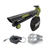 Sun Joe 48-volt cordless leaf blower, vacuum, mulcher with wheels with two 2.0-Ah lithium-ion batteries and charger.