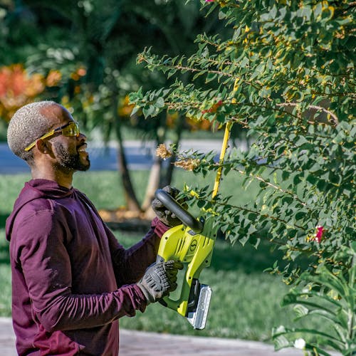 Man sing the Side view of the Sun Joe 24-volt 22-inch cordless hedge trimmer with a 2.0-Ah lithium-ion battery attached to cut branches of a tree.