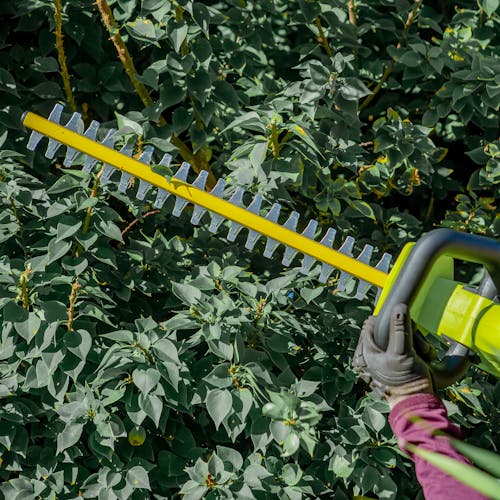 Person using the Side view of the Sun Joe 24-volt 22-inch cordless hedge trimmer to trim a bush.