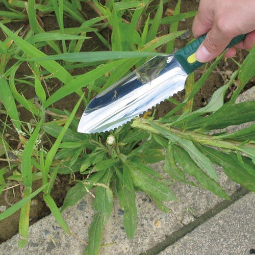 Nisaku Hori Hori 5-inch Mini Stainless Steel Knife being used to cut a weed.