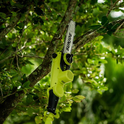 Sun Joe 24-volt cordless telescoping pole 10-inch chainsaw being used to cut a branch off a tree.