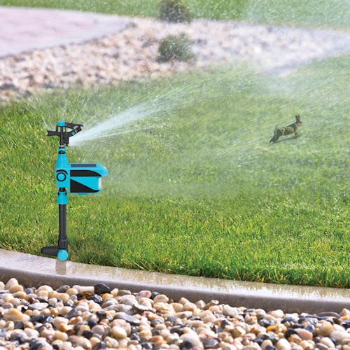 Aqua Joe YardGuard Motion Sensor Pest Deterrent Sprinkler spraying water towards a rabbit to deter it away from the yard.