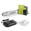 Sun Joe 48-volt 16-inch cordless chainsaw with two 5.0-Ah batteries and charger.