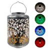 Bliss Outdoors 12-inch solar LED silver lantern with circled images on the right showing the light pattern and colors.