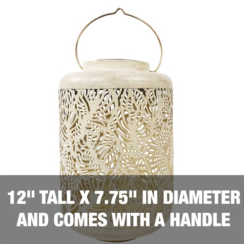 12 inch tall and 7.75 inches in diameter and comes with a handle.
