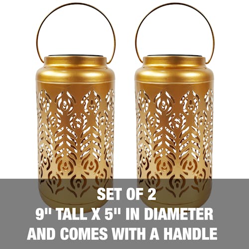 9 inches tall by 5 inches in diameter and comes with a handle.