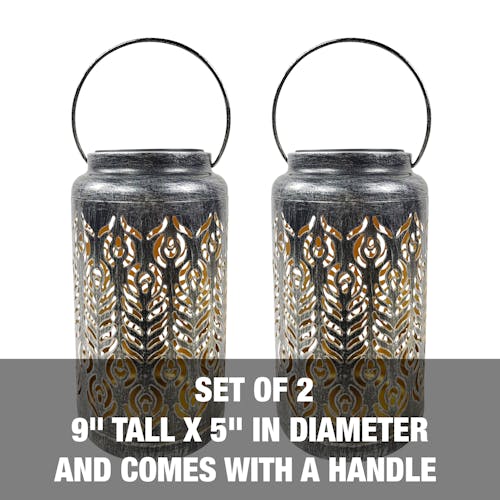 9 inches tall by 5 inches in diameter and comes with a handle.