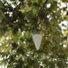 Solar LED light hanging from a tree branch from the hook on top.