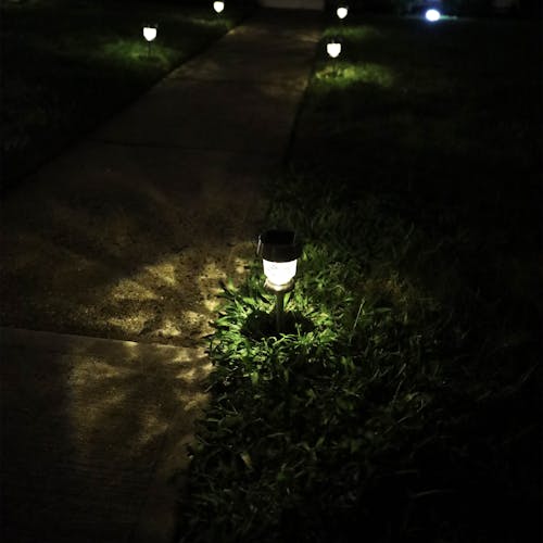 14-inch Solar LED Pathway Light lighting up a front walkway at night.