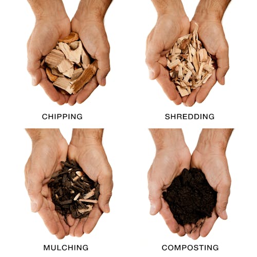 Infographic showing the different modes: chipping, shredding, mulching, and composting.