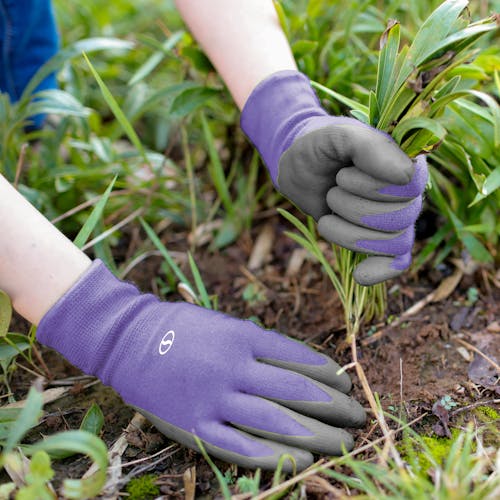 Sun Joe 3-pack of Nitrile-Palm Reusable Purple Gloves being used for planting in a garden.