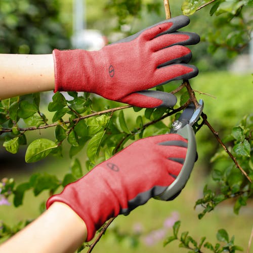 Sun Joe 3-pack of Nitrile-Palm Reusable Red Gloves being used while cutting a branch with pruners.