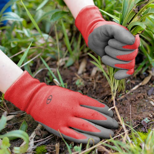 Sun Joe 3-pack of Nitrile-Palm Reusable Red Gloves being used for planting in a garden.