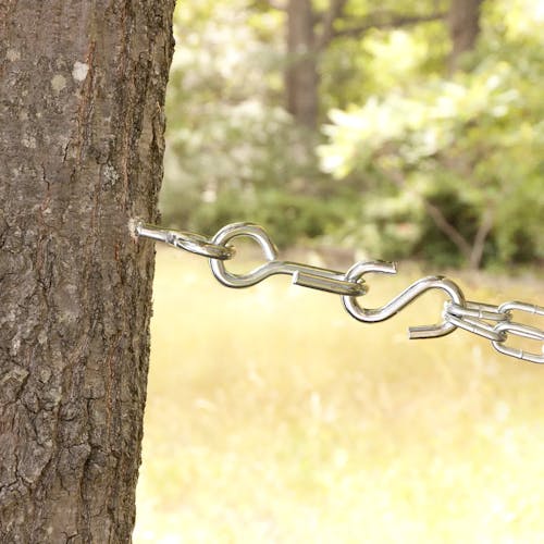 Metal eye screw in a tree with the hook connected to a hammock.