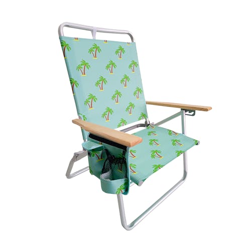 Bliss Hammocks Foldable Palm Tree Beach Chair.