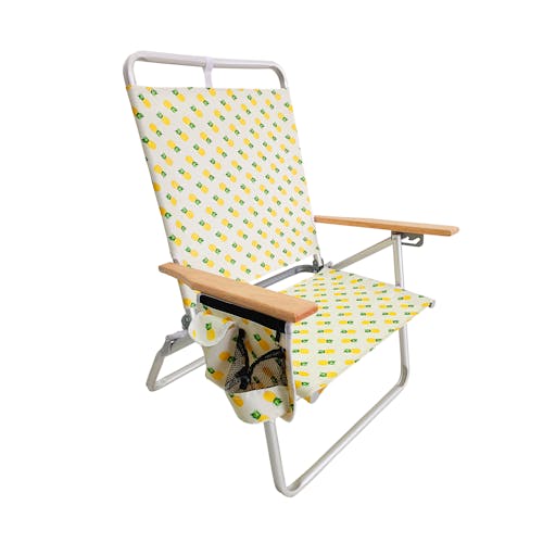 Bliss Hammocks Foldable Pineapple Beach Chair.