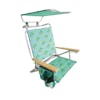 Bliss Hammocks Folding Palm Tree Beach Chair with Canopy.
