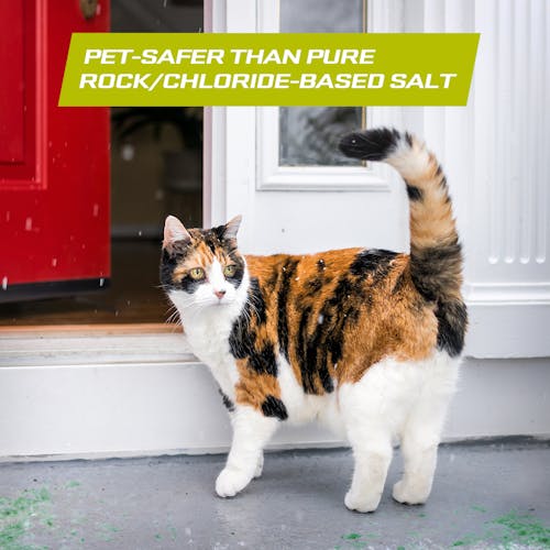 cat showing safer application of snow joe pet safer blend