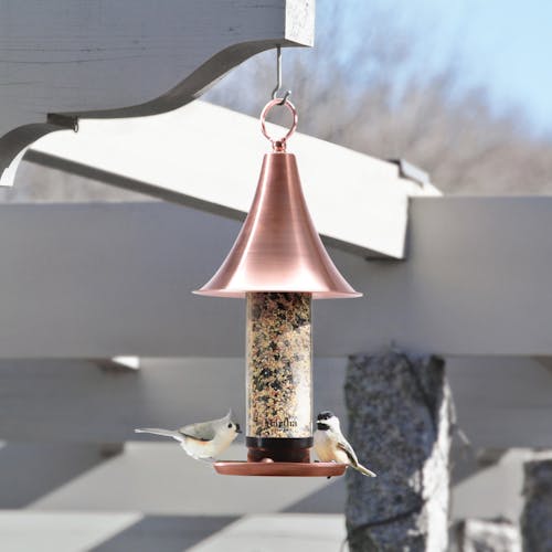 Martha Stewart Copper Bird Feeder with 4 ports filled with bird seed hanging from an overhead beam.