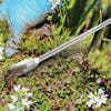 Close-up of the Martha Stewart Stainless Steel Weeder pulling out a weed.
