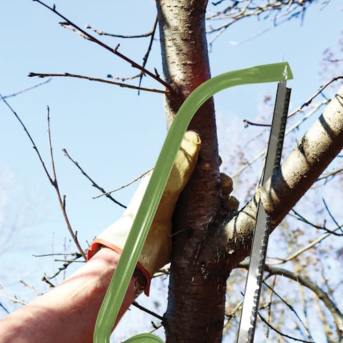 Martha Stewart 21-Inch Bow Saw cutting through a branch.