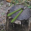 Martha Stewart Mini Handheld Bypass Lopper on a tree stump.