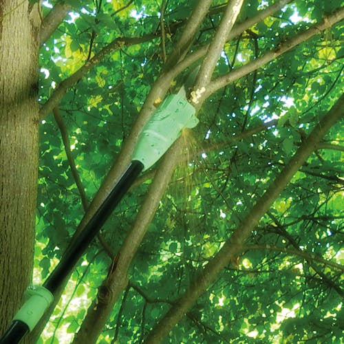Martha Stewart 10-inch Telescoping Electric Pole Chain Saw being used to reach up high to cut branches form a tree.