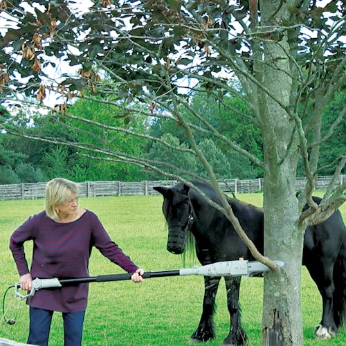 Woman using the Martha Stewart 10-inch Telescoping Electric Pole Chain Saw to cut a branch off a tree with a horse behind her.