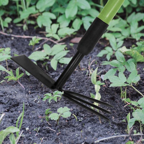 Close-up of the Martha Stewart Telescoping Cultivator and Hoe Combo on soil surrounded by plants.