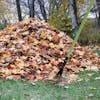 Martha Stewart Telescoping Shrub Rake next to a pile of leaves.