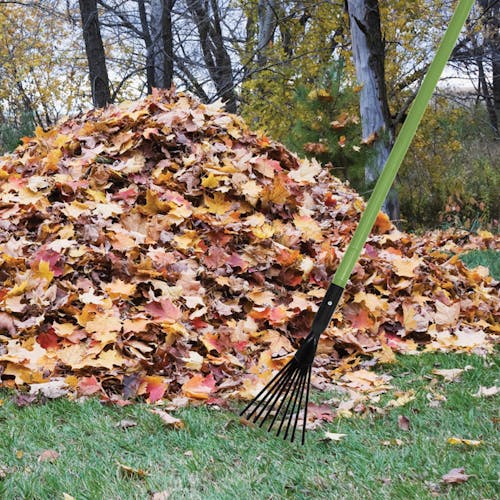 Martha Stewart Telescoping Shrub Rake next to a pile of leaves.