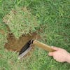 Martha Stewart Authentic Wood Handle Garden Edger cutting a square out of a lawn.