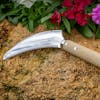 Nisaku Minicutgama 4.5-inch Stainless Steel Saw Tooth Sickle in the dirt next to flowers.