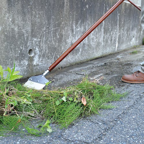 Nisaku Zassou Burush Obake 7.25-inch Stainless Steel Weed Sweeper being used to sweep weeds from a driveway.