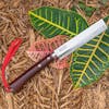 Nisaku Takenata Limited Edition 6.5-inch Japanese Stainless Steel Hatchet resting in mulch on a plant.