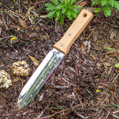 Nisaku Hori-Hori Namibagata Japanese Stainless Steel Weeding Knife with a 7.25-Inch Blade outside on the ground.