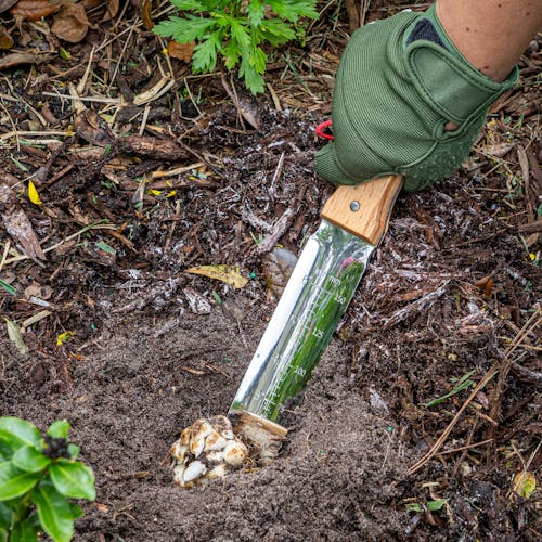 Nisaku Limited Edition Stainless Steel Weeding Knife with a 7.25-inch blade and inch markings being dug into the ground.