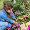 Woman using the Nisaku Nekaki Nihondume Japanese Stainless Steel Double Claw Cultivator to cultivate soil in a garden.