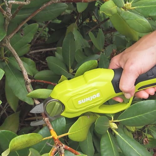 Sun Joe 3.6-volt green Cordless Rechargeable Power Pruner being used to cut a small branch.